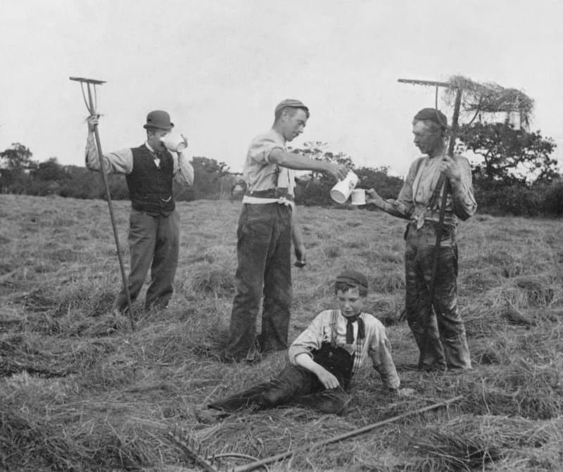 Farm workers haymaking in the fields around Faulkland